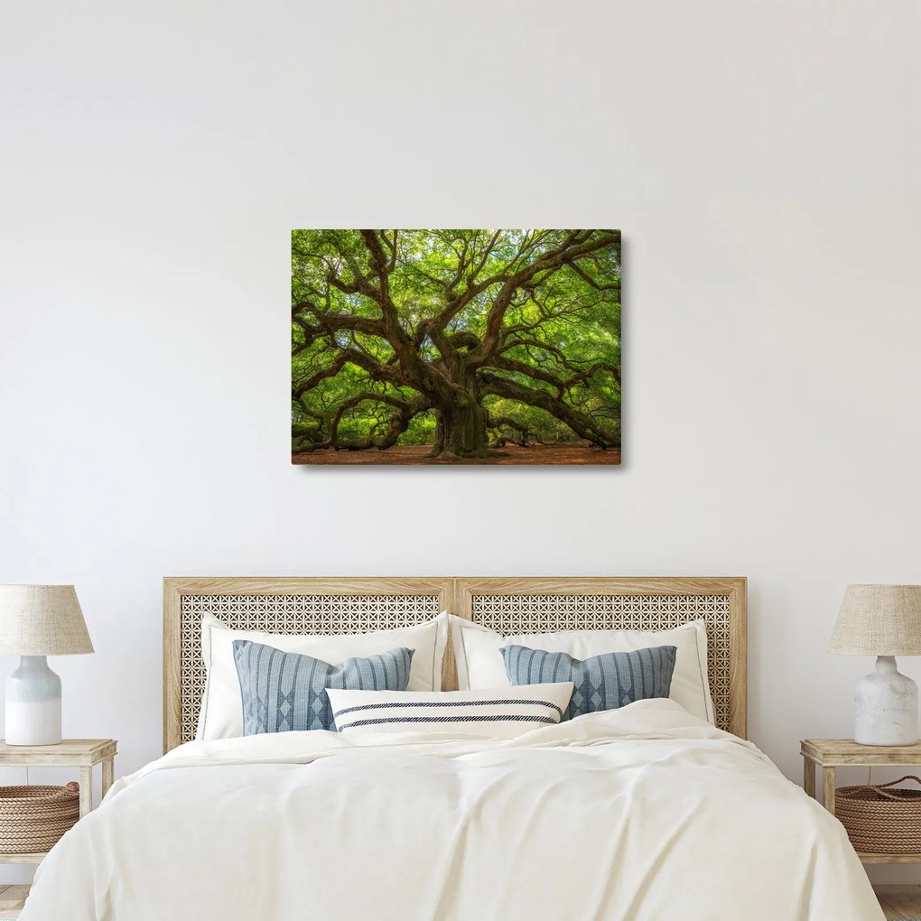 Obraz - Zielone drzewo (70x50 cm)