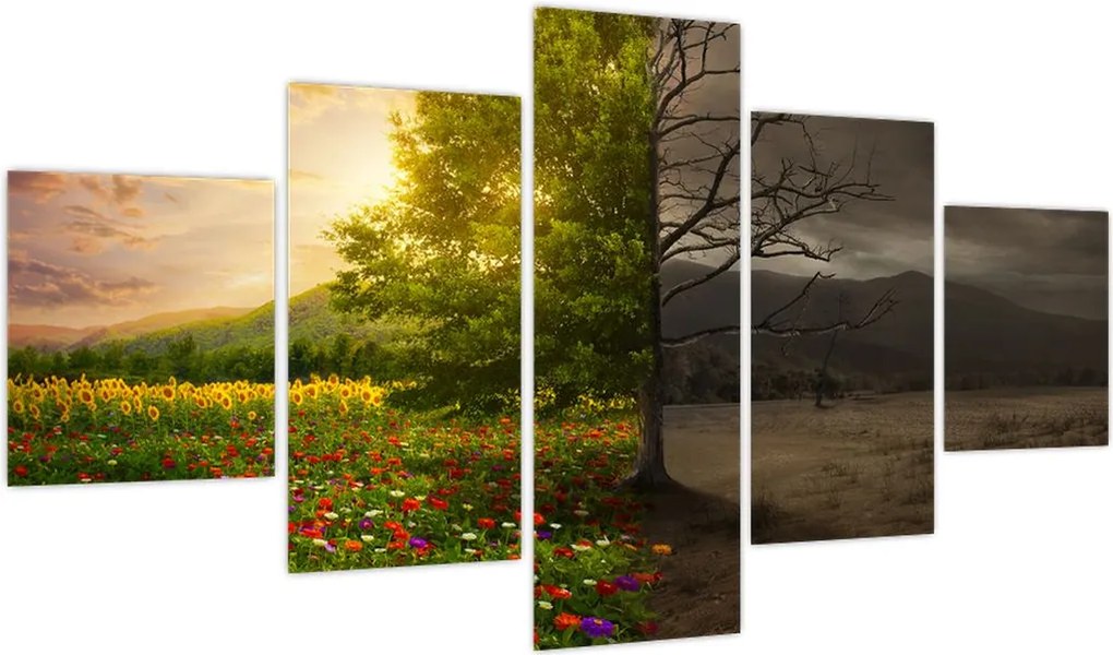 Obraz - Cykl życia (125x70 cm)