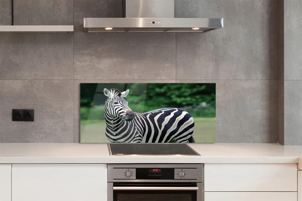 Panel szklany do Kuchni Zebra na tle Afrykańskiej Równiny
