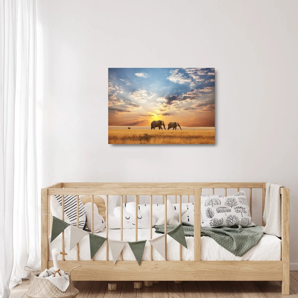 Obraz na szkle - Słonie wędrujące po sawannie (70x50 cm)
