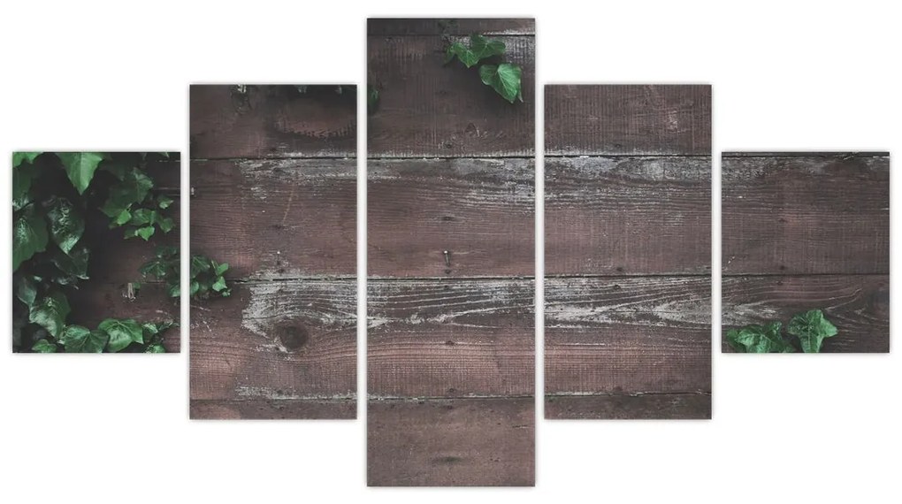 Obraz - Bluszcz (125x70 cm)