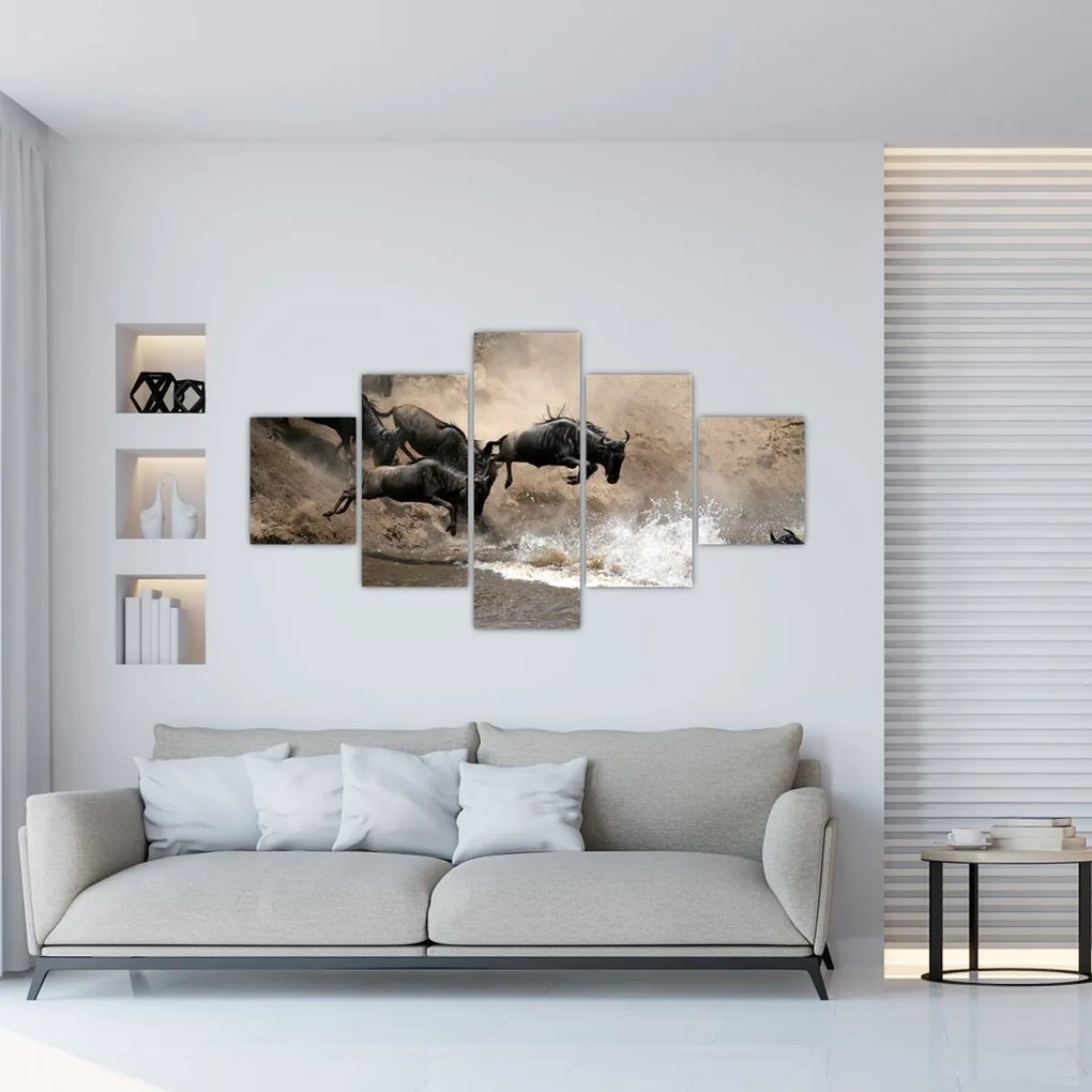 Obraz - Stado antylop gnu (125x70 cm)