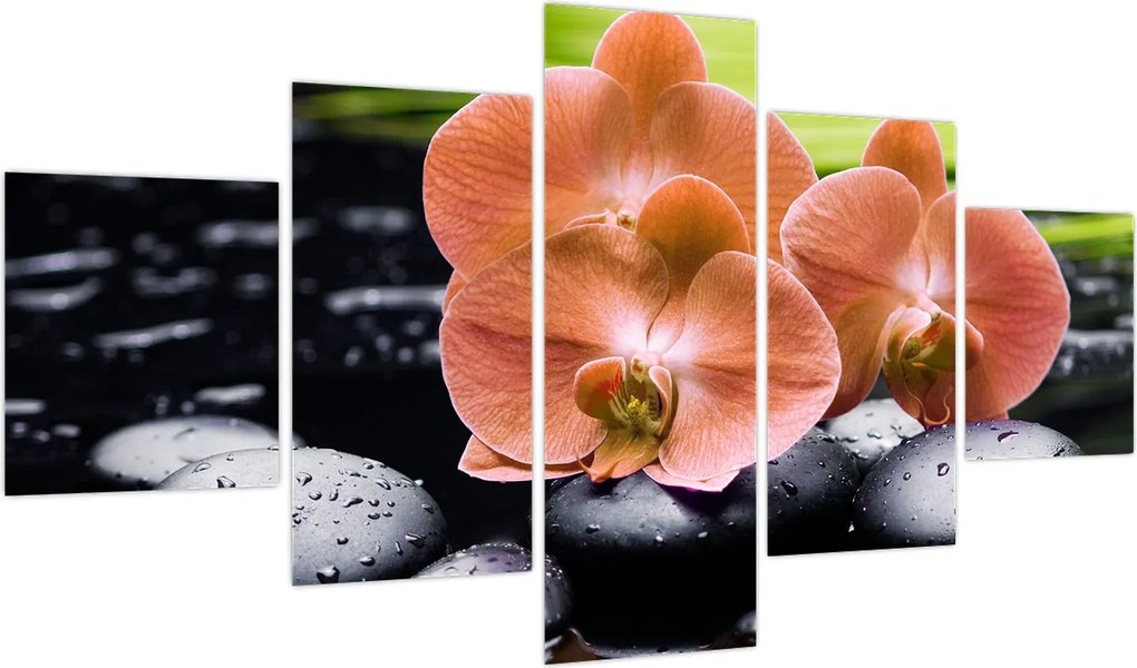 Obraz - Pomarańczowa orchidea z liśćmi palmy (125x70 cm)