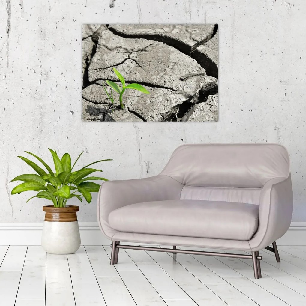 Obraz - Pęknięcia (70x50 cm)