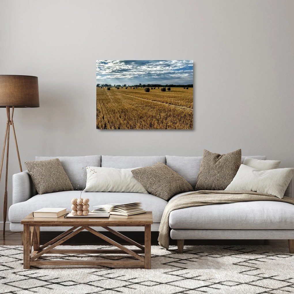 Obraz na szkle - zebrane pole zboża (70x50 cm)