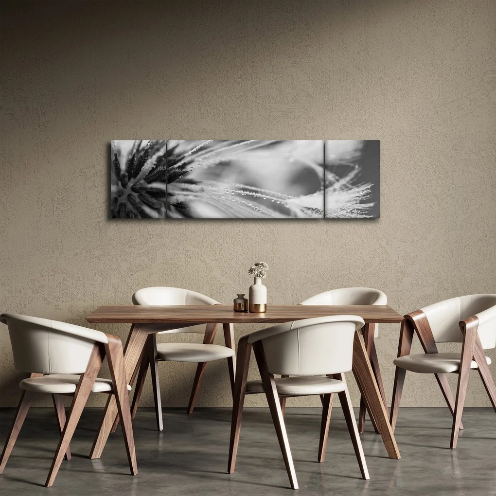 Obraz - Makro, czarno - biały (170x50 cm)