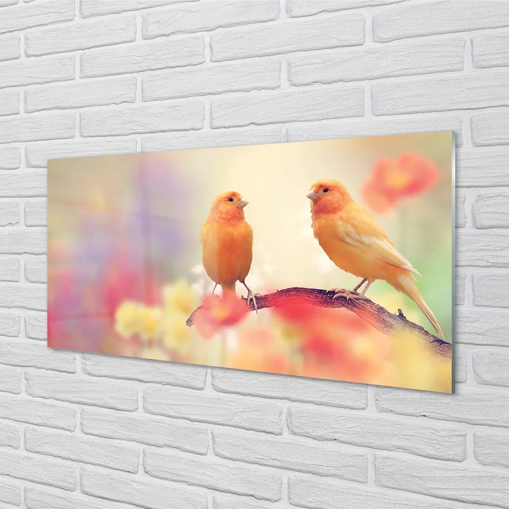 Panel szklany do Kuchni Rodzina Kolorowych Papug