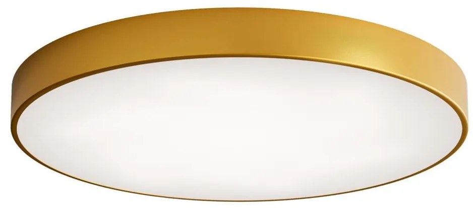 LED plafon CLEO LED/96W/230V 3000K pr. 80 cm złoty