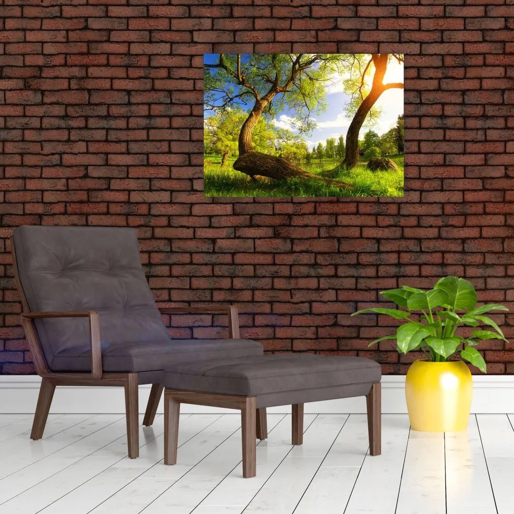 Obraz na szkle wiosennej łąki (70x50 cm)