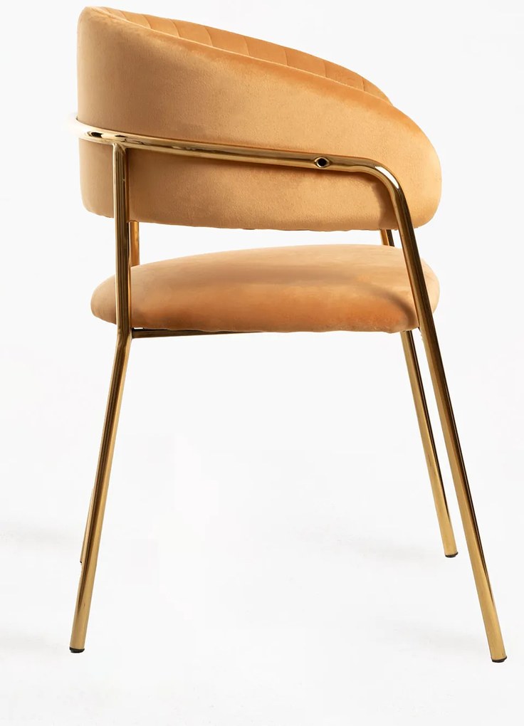 Krzeso Moniel Golden Velvet