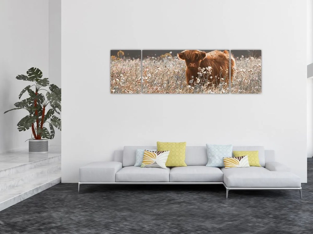 Obraz - Szkocka krowa w kwiatach (170x50 cm)