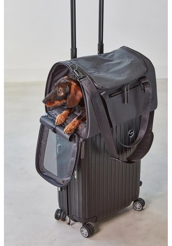Torba transportowa dla psów 23x45 cm Volata Asphalt S – MiaCara