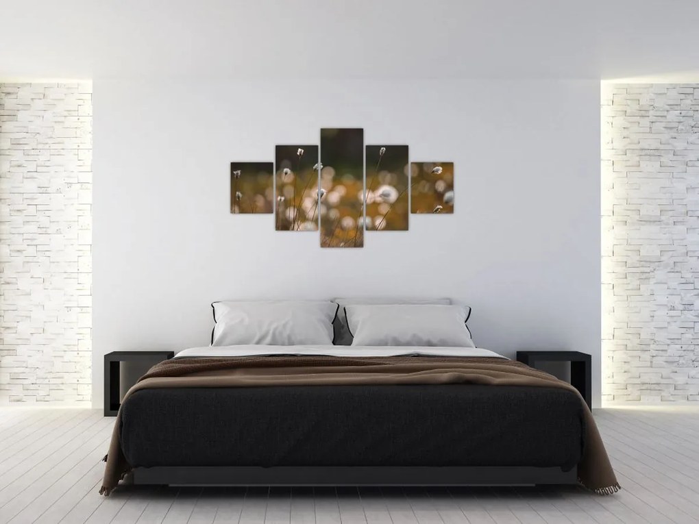 Obraz - Łąka z trawą bawełnianą N⁰2 (125x70 cm)