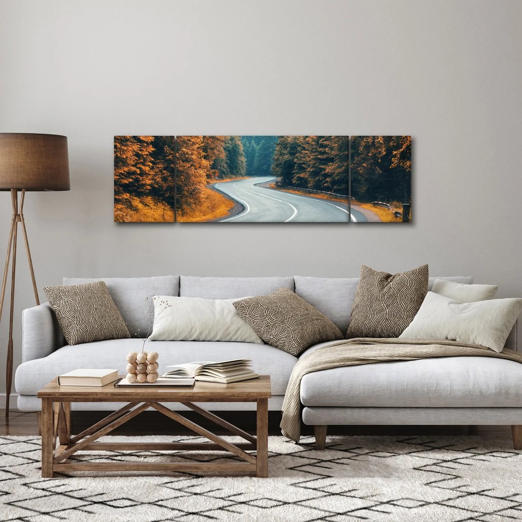Obraz - Kręta droga (170x50 cm)