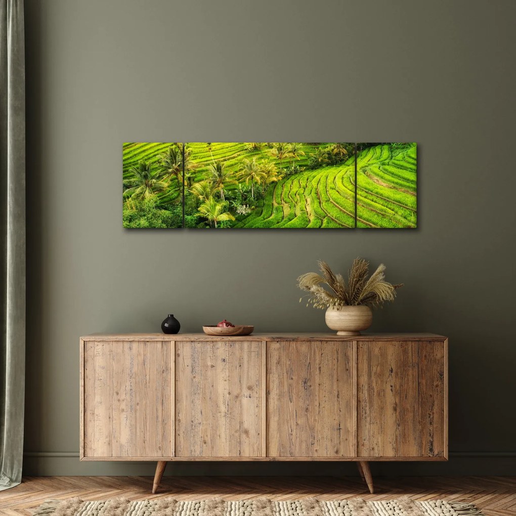 Obraz - Pola ryżowe (170x50 cm)