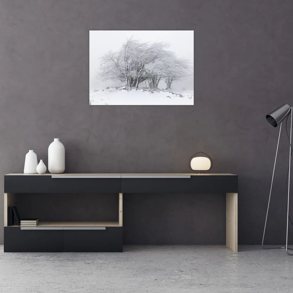 Obraz na szkle - Biała zima (70x50 cm)