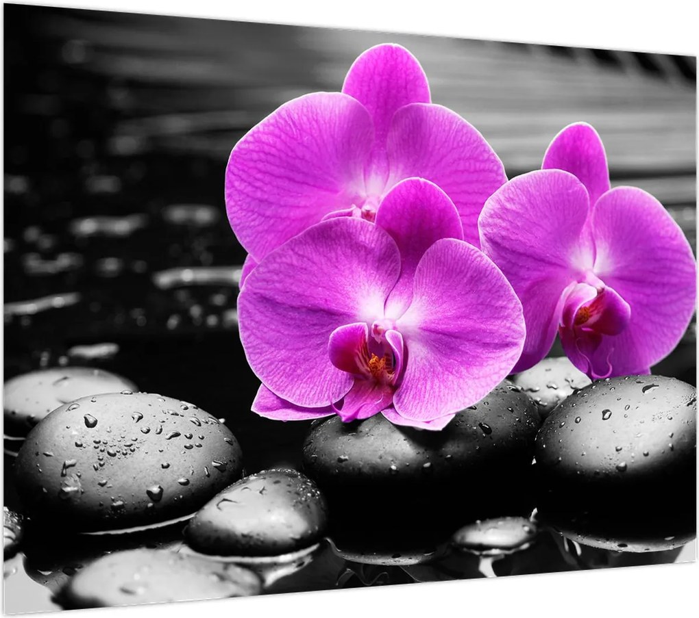 Obraz na szkle - Fioletowe orchidee (70x50 cm)