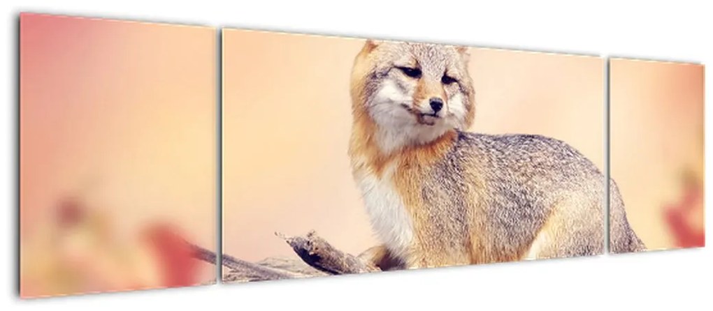 Obraz - Lis (170x50 cm)