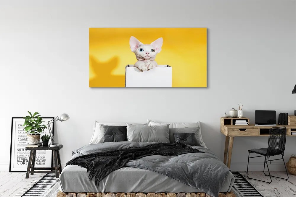 Duży obraz na płótnie Spokojnie Siedzący Kot