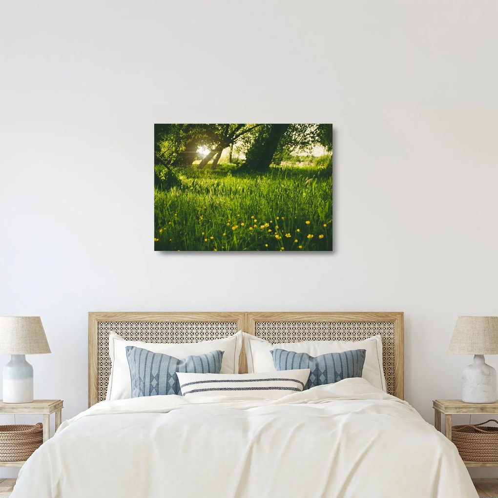 Obraz na szkle - natura - łąka (70x50 cm)