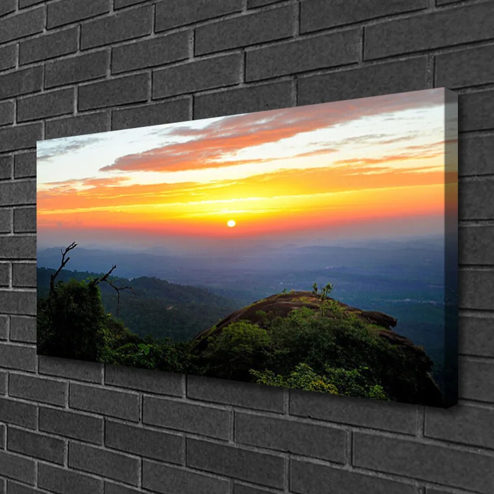 Zdjęcie na płótnie Górski Pejzaż z Gęstym Lasem