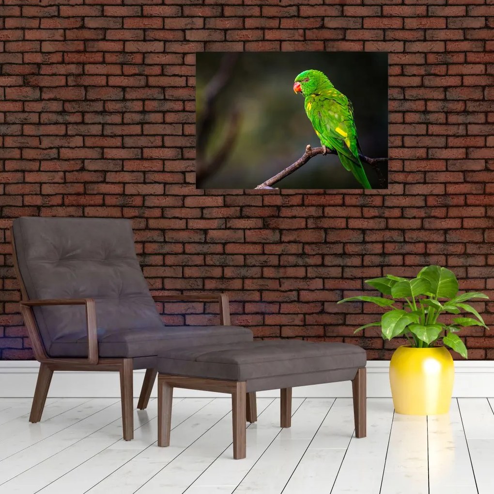 Obraz na szkle - papuga na gałęzi (70x50 cm)