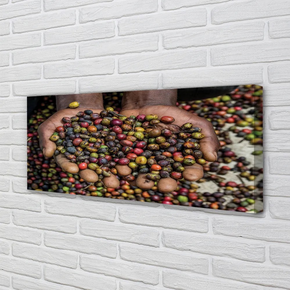 Zdjęcie na płótnie Przyprawy Świata