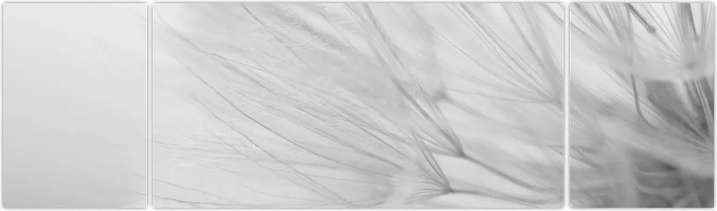 Obraz - Mniszek lekarski (170x50 cm)