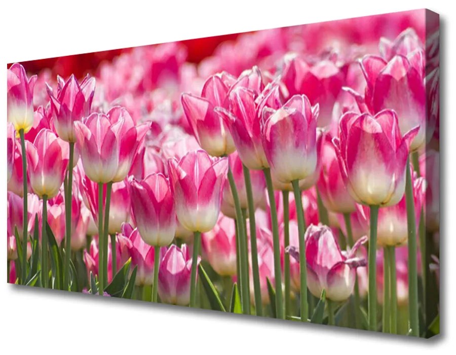 Obraz Canvas Tulipany Kwiaty Natura