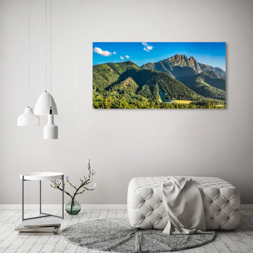 Foto obraz szkło akryl Panorama Tatr