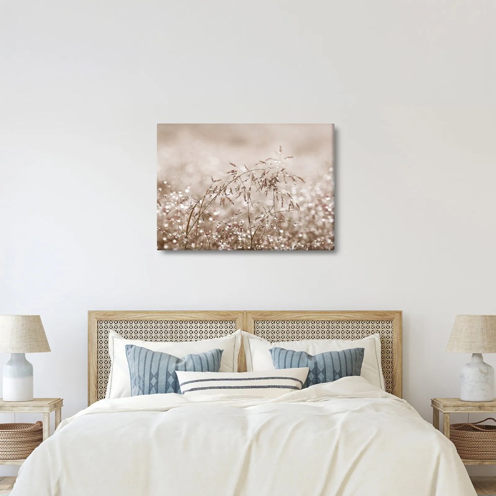 Obraz - Łąka w odcieniach brązu (70x50 cm)