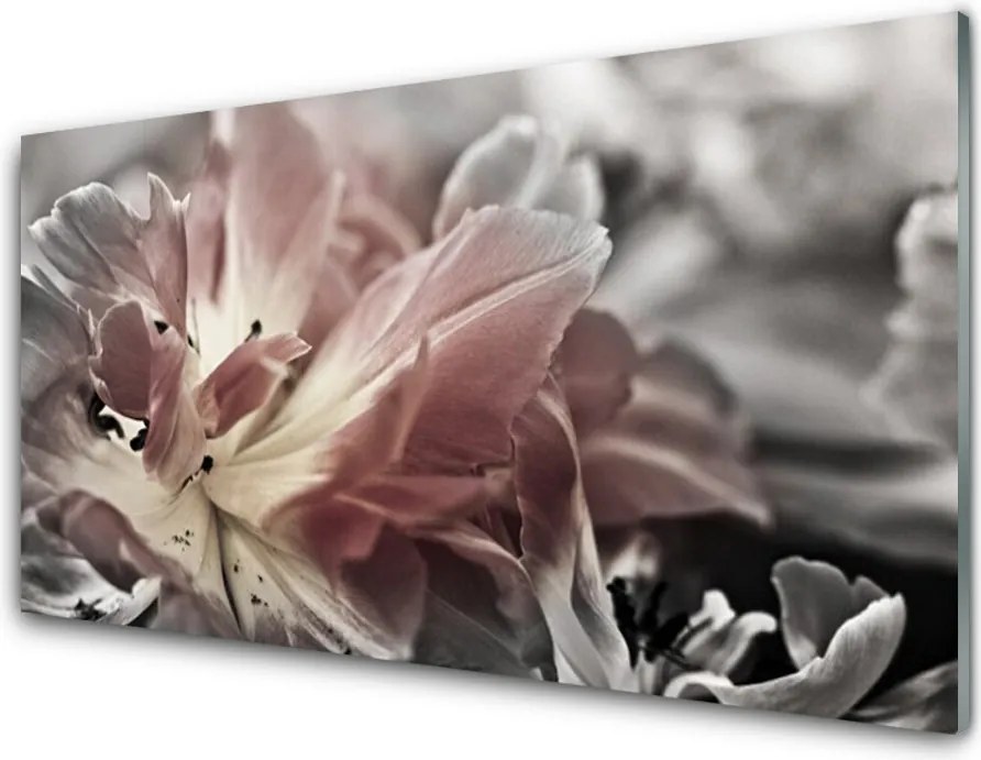 Panel Kuchenny Graficzna Synteza Barw