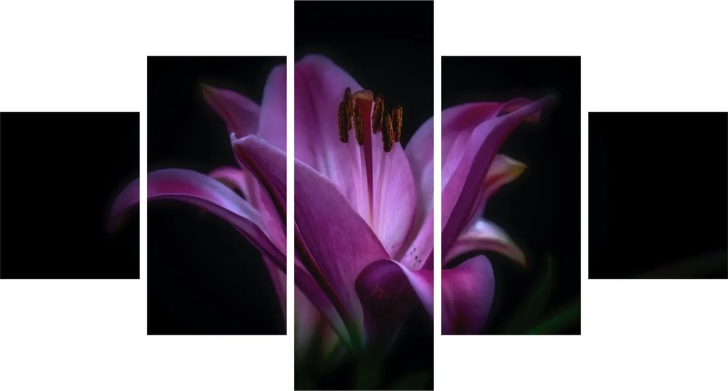 Obraz lilii (125x70 cm)