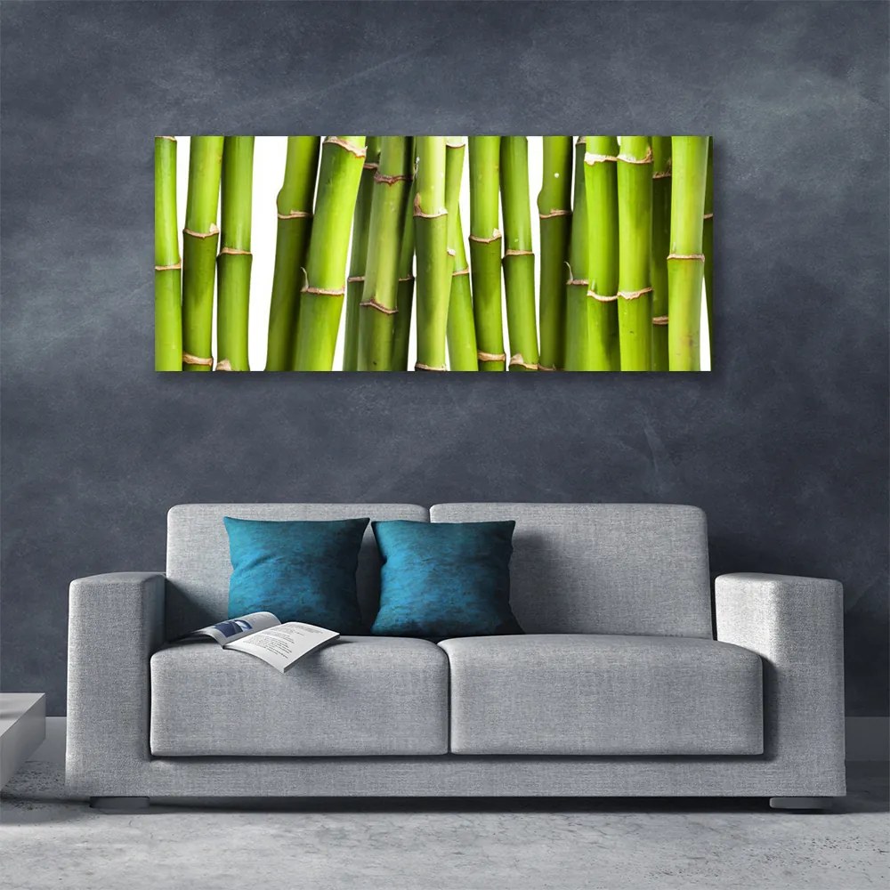 Obraz canvas Świeże Pędy Zielonego Bambusa
