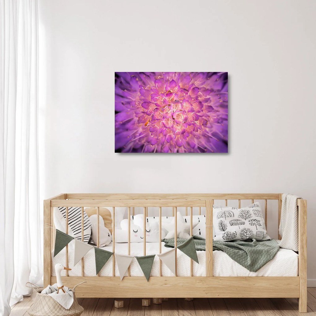 Obraz na szkle - szczegółowy obraz kwiatu (70x50 cm)