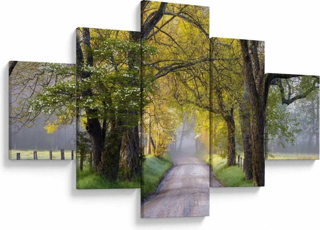 Zdjęcie - Smoky Mountains, Gatlinburg, USA (125x70 cm)