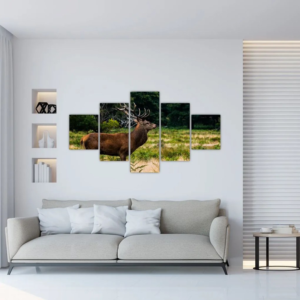 Obraz jelenia (125x70 cm)