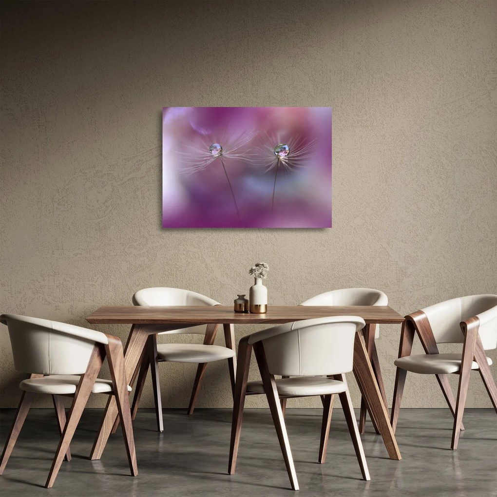 Obraz na szkle kropelek na puchu (70x50 cm)