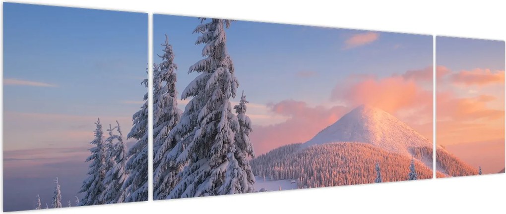 Obraz - Zimowy krajobraz (170x50 cm)