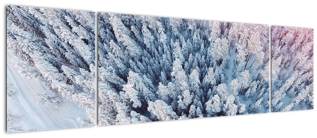 Obraz ośnieżonych drzew (170x50 cm)