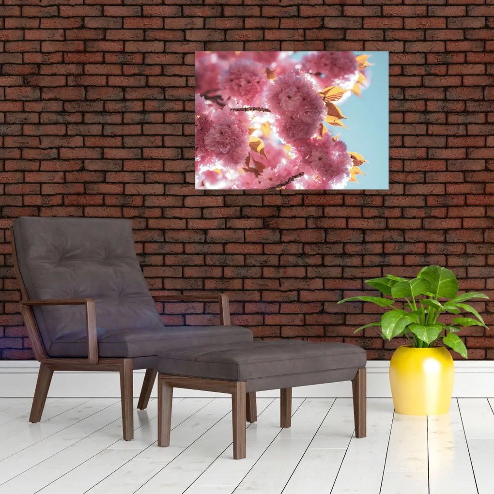 Obraz - Kwiat wiśni (70x50 cm)