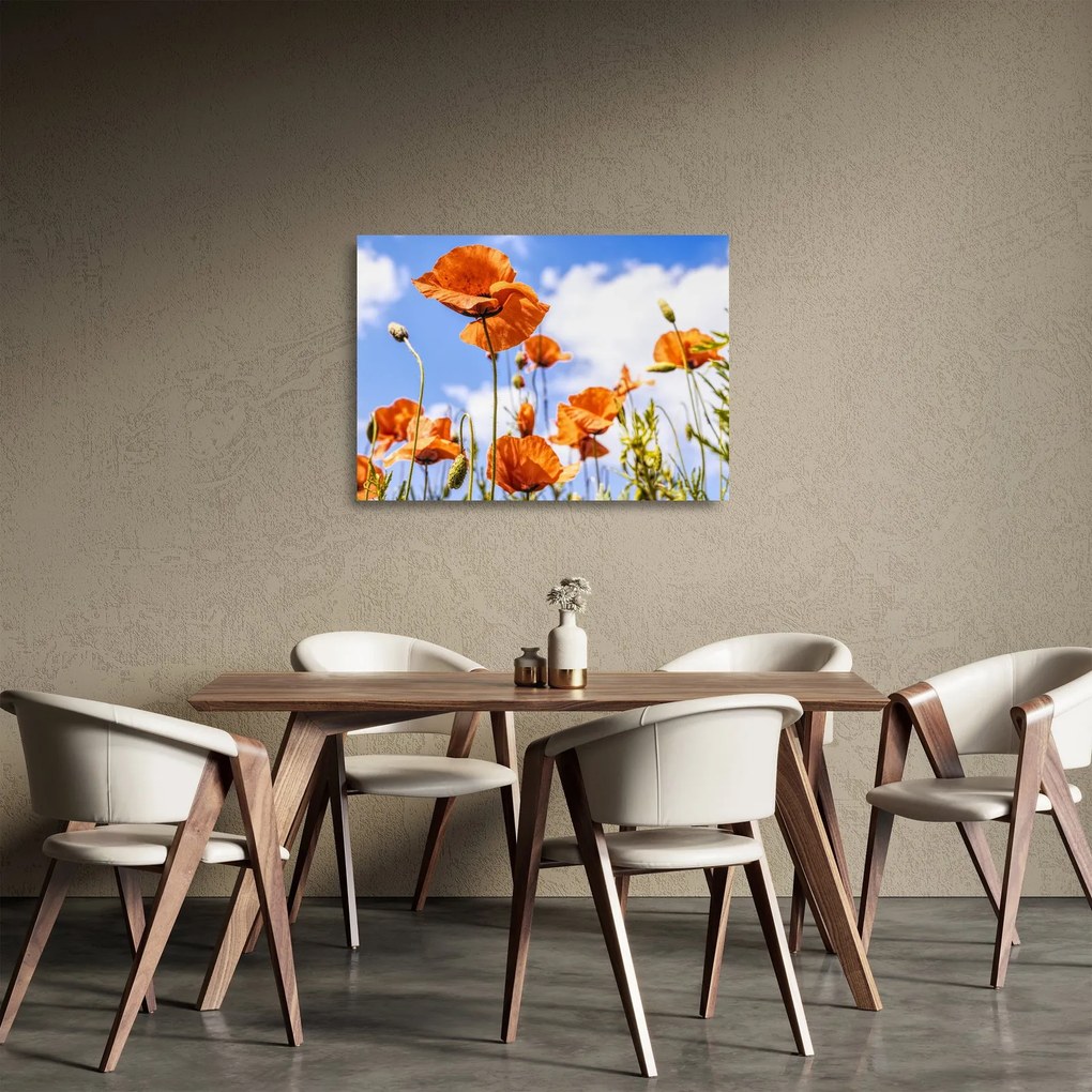 Obraz na szkle - maki (70x50 cm)