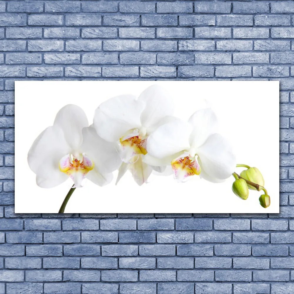 Duży obraz na płótnie Pastelowy Bukiet Botaniczny