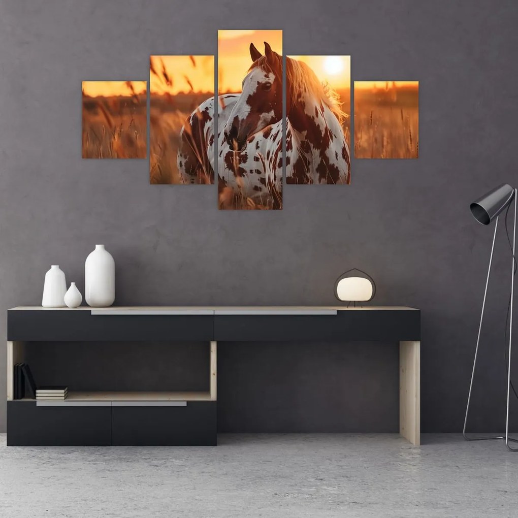 Obraz - Koń o zachodzie słońca (125x70 cm)
