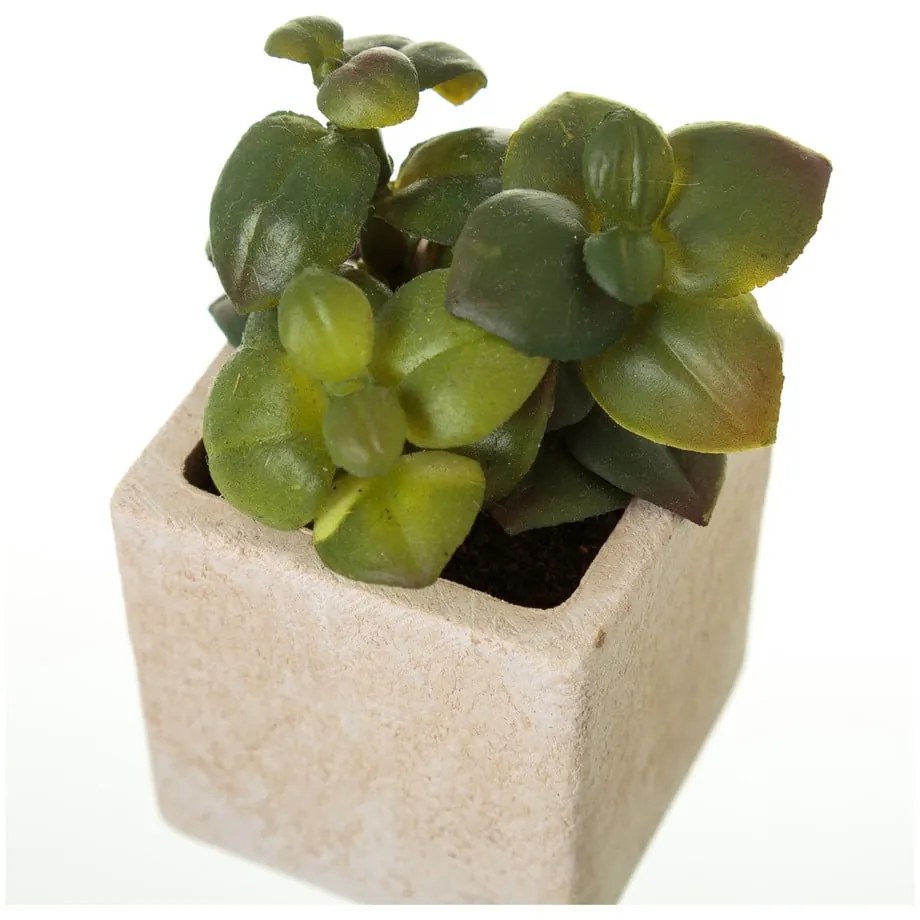 Sztuczne rośliny zestaw 6 szt. (wysokość 9,5 cm) Cactus – Casa Selección