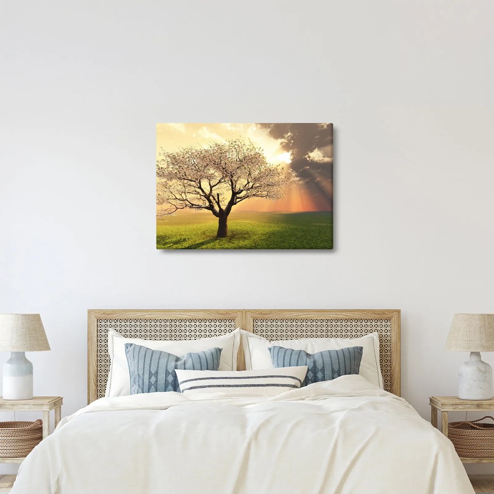 Obraz drzewa na łące (70x50 cm)