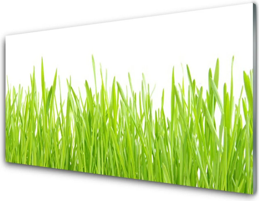 Szkło Dekoracyjne do Kuchni Świeżość Letniego Trawnika