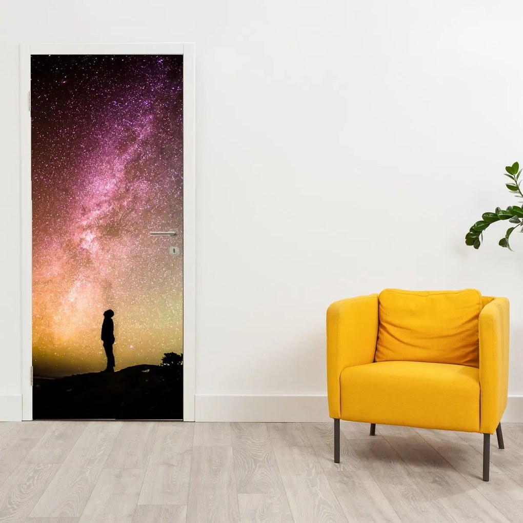 Fototapeta na drzwi - Niebo pełne gwiazd (95x205cm)