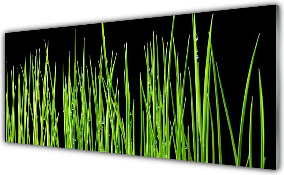 Panel Kuchenny Naturalna Tekstura Trawy