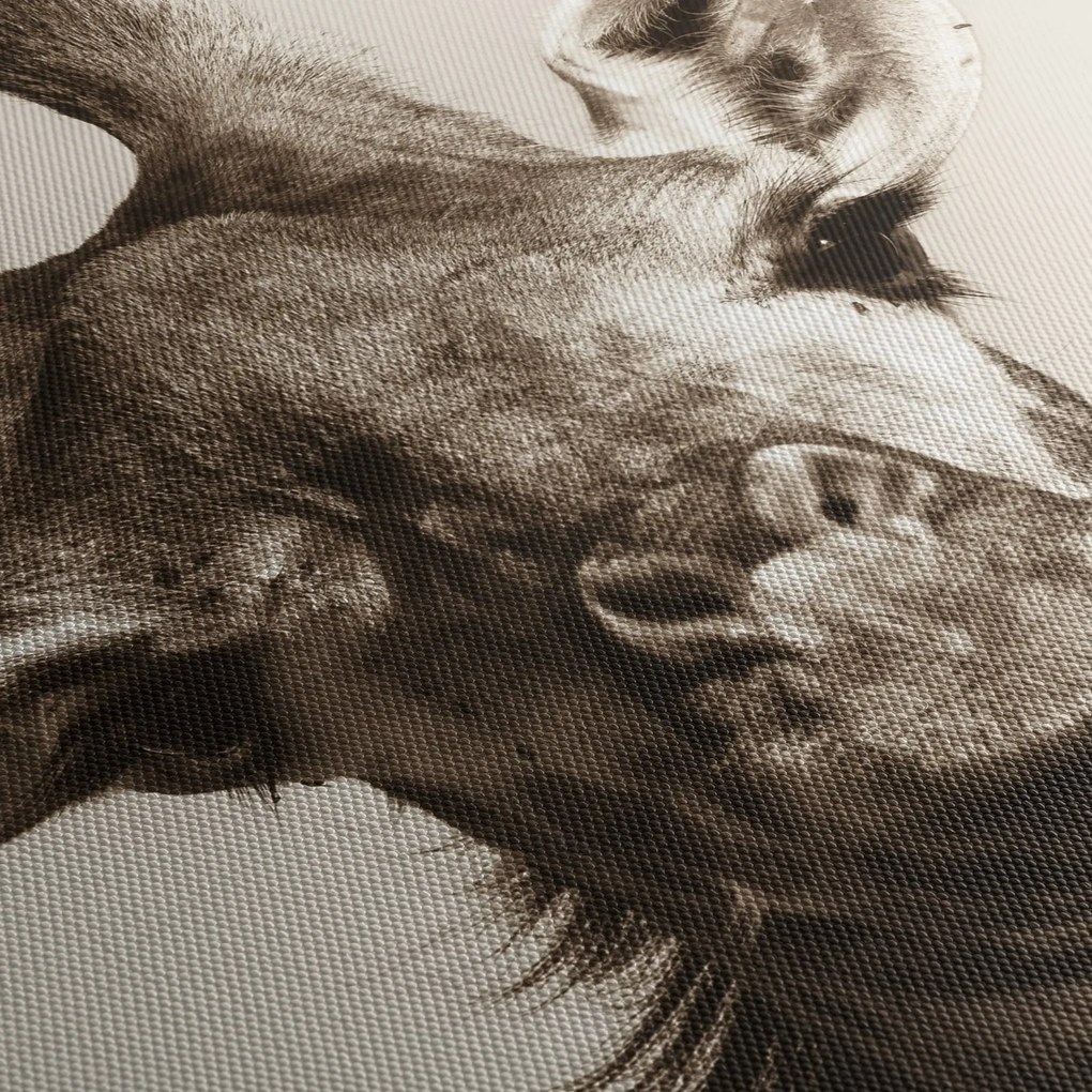 Obraz - Portret żyrafy, vintage (125x70 cm)
